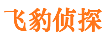 弥渡寻人公司